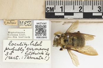 Media type: image;   Entomology 810845 Aspect: labels